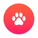 Bear Coin jetton icon
