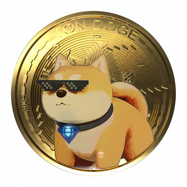 TON DOGE COIN & NFT icon