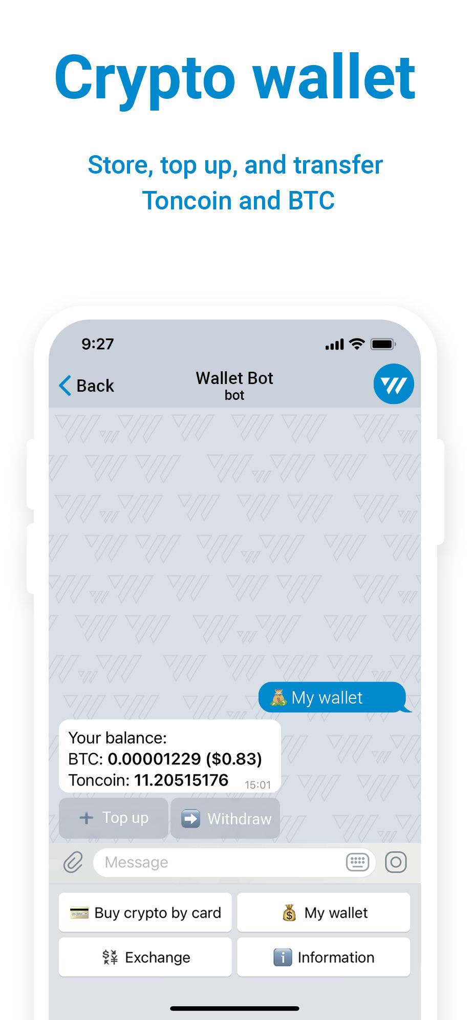 Wallet - Покупка криптовалюты банковской картой | TON App