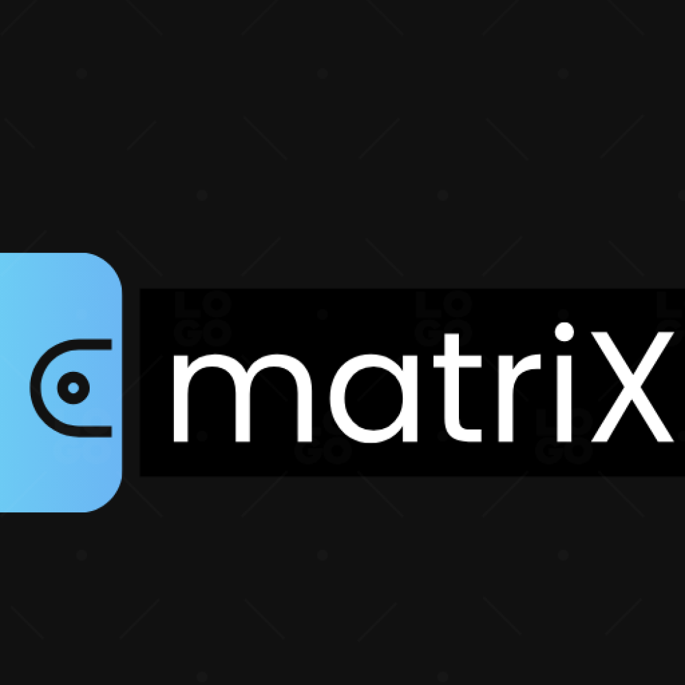 Matrix Wallet Icon